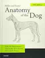 Evans and de Lahunta 犬の解剖 第七版 Evans and de Lahunta 犬の解剖 第七版 Evans and de Lahunta 犬の